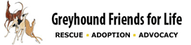 Grey Hound Friends for Life